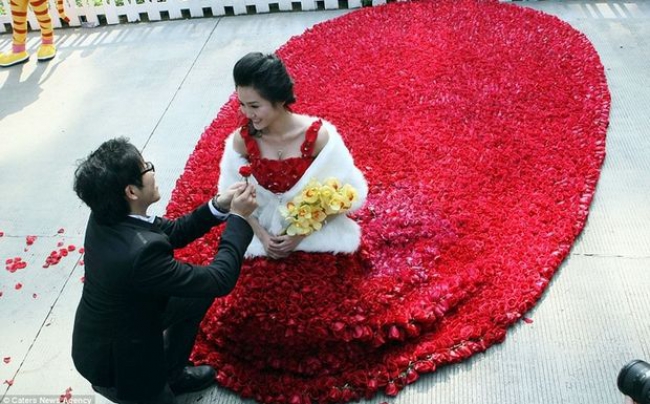 Ερωτευμένη πρόταση γάμου με 9.999 λουλούδια